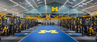 Bermuda Silverback-Synthetic Grass Turf-GrassTex-KNB Mills