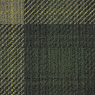 Perfectly Plaid
