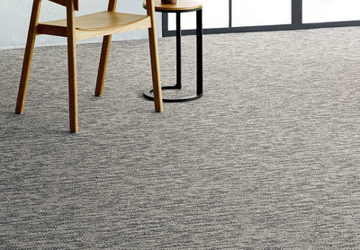 Accord-Broadloom Carpet-Shaw Contract-Chrome Black-KNB Mills