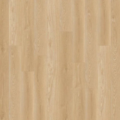 Alara Plus-Luxury Vinyl Plank-Earthwerks-Alara Plus Snowshoe-KNB Mills