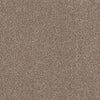 Allure-Broadloom Carpet-Earthwerks-Allure Glittering Gold-KNB Mills