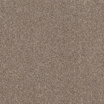 Allure-Broadloom Carpet-Earthwerks-Allure Glittering Gold-KNB Mills