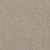 Allure-Broadloom Carpet-Earthwerks-Allure In The Buff-KNB Mills