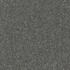 Allure-Broadloom Carpet-Earthwerks-Allure Iron Frost-KNB Mills