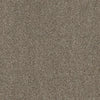 Allure-Broadloom Carpet-Earthwerks-Allure Shell-KNB Mills