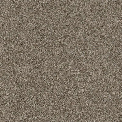 Allure-Broadloom Carpet-Earthwerks-Allure Shell-KNB Mills