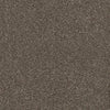 Allure-Broadloom Carpet-Earthwerks-Allure Shimmering Smoke-KNB Mills