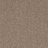 Allure-Broadloom Carpet-Earthwerks-Allure Tan Lines-KNB Mills