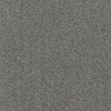 Allure-Broadloom Carpet-Earthwerks-Allure Foxy-KNB Mills