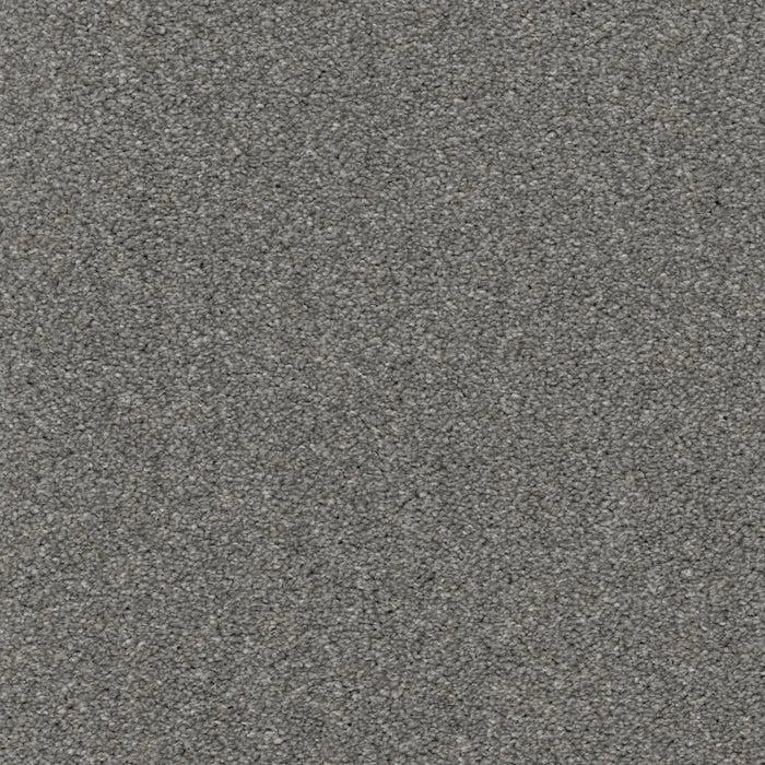 Allure-Broadloom Carpet-Earthwerks-Allure Foxy-KNB Mills