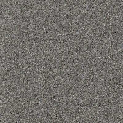 Allure-Broadloom Carpet-Earthwerks-Allure Foxy-KNB Mills