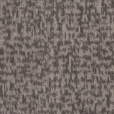 Amend-Broadloom Carpet-Shaw Contract-Sterling Silver-KNB Mills
