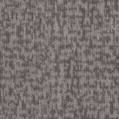 Amend-Broadloom Carpet-Shaw Contract-Mirror Grey-KNB Mills
