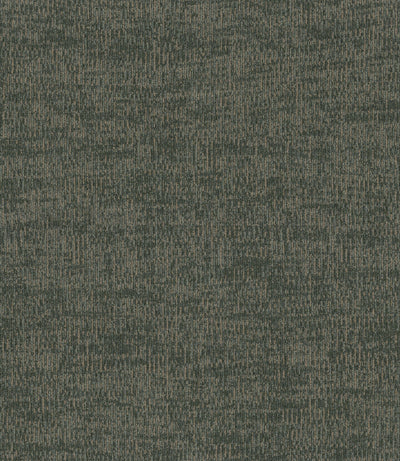 Anthology Compilation-Broadloom Carpet-Shaw Contract-Folio-KNB Mills