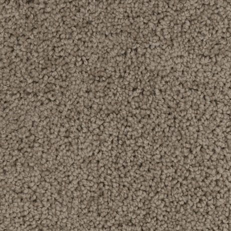 Apollo-Broadloom Carpet-Gulistan Floors-G0270-KNB Mills