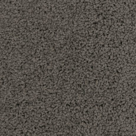Apollo-Broadloom Carpet-Gulistan Floors-G0270-KNB Mills