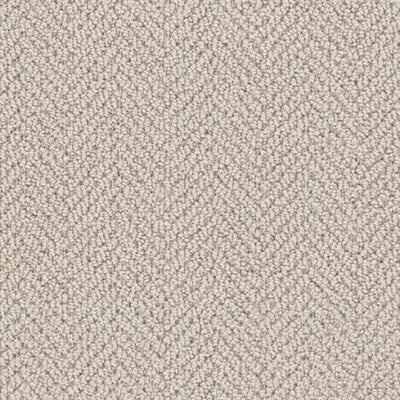 Arcadia-Broadloom Carpet-Gulistan Floors-Blanched Almond-KNB Mills
