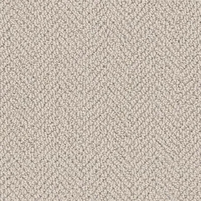 Arcadia-Broadloom Carpet-Gulistan Floors-Blanched Almond-KNB Mills