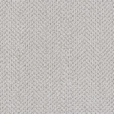 Arcadia-Broadloom Carpet-Gulistan Floors-Silver Charm-KNB Mills