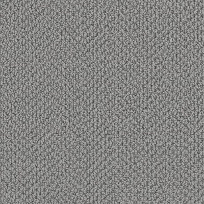 Arcadia-Broadloom Carpet-Gulistan Floors-Soft Pewter-KNB Mills