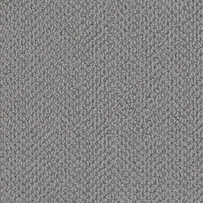 Arcadia-Broadloom Carpet-Gulistan Floors-Soft Pewter-KNB Mills