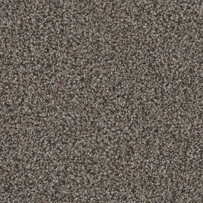 Artemis-Broadloom Carpet-Gulistan Floors-G1791 Wellington-KNB Mills