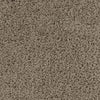 Artemis-Broadloom Carpet-Gulistan Floors-G1020 Dusty Roads-KNB Mills