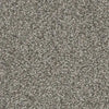 Artemis-Broadloom Carpet-Gulistan Floors-G9331 Aspen Bark-KNB Mills