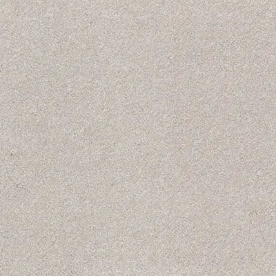 Aspire-Broadloom Carpet-Gulistan Floors-G001 Angora-KNB Mills