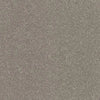 Aspire-Broadloom Carpet-Gulistan Floors-G002 Cashmere-KNB Mills