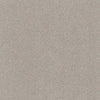 Aspire-Broadloom Carpet-Gulistan Floors-G003 Merino-KNB Mills