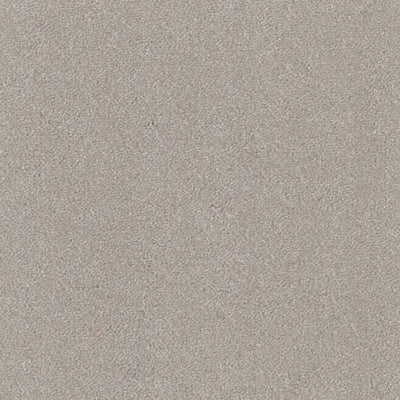 Aspire-Broadloom Carpet-Gulistan Floors-G003 Merino-KNB Mills
