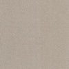Aspire-Broadloom Carpet-Gulistan Floors-G004 Mohair-KNB Mills