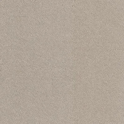Aspire-Broadloom Carpet-Gulistan Floors-G004 Mohair-KNB Mills