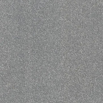 Aspire-Broadloom Carpet-Gulistan Floors-G005 Alpaca-KNB Mills