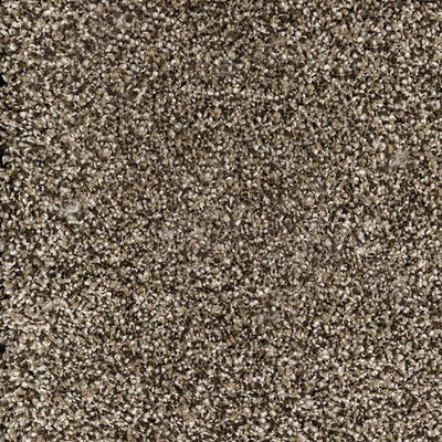 Astonishing-Broadloom Carpet-Marquis Industries-BB006 Saddle Brown-KNB Mills