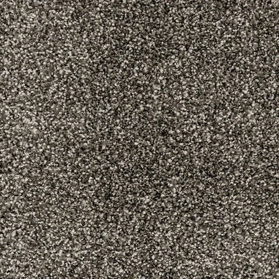Astonishing-Broadloom Carpet-Marquis Industries-BB007 Porpoise-KNB Mills