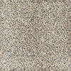 Astonishing-Broadloom Carpet-Marquis Industries-BB001 Dovetail-KNB Mills
