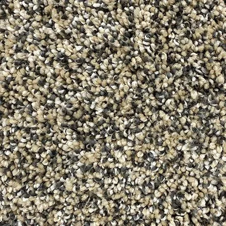 Aurora-Broadloom Carpet-Gulistan Floors-BB004 Ester-KNB Mills