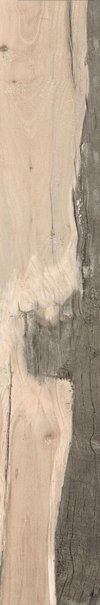 Backwoods-Porcelain-Paramount Flooring-KNB Mills