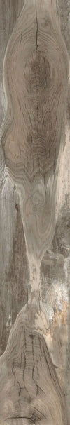 Backwoods-Porcelain-Paramount Flooring-KNB Mills