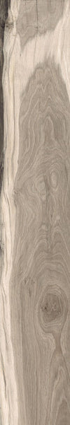 Backwoods-Porcelain-Paramount Flooring-KNB Mills