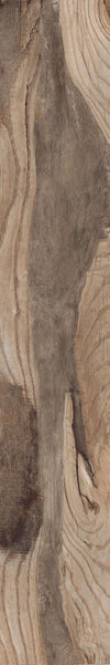 Backwoods-Porcelain-Paramount Flooring-KNB Mills