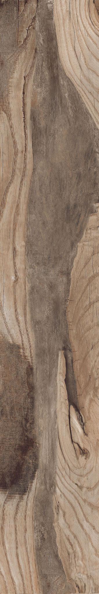 Backwoods-Porcelain-Paramount Flooring-KNB Mills