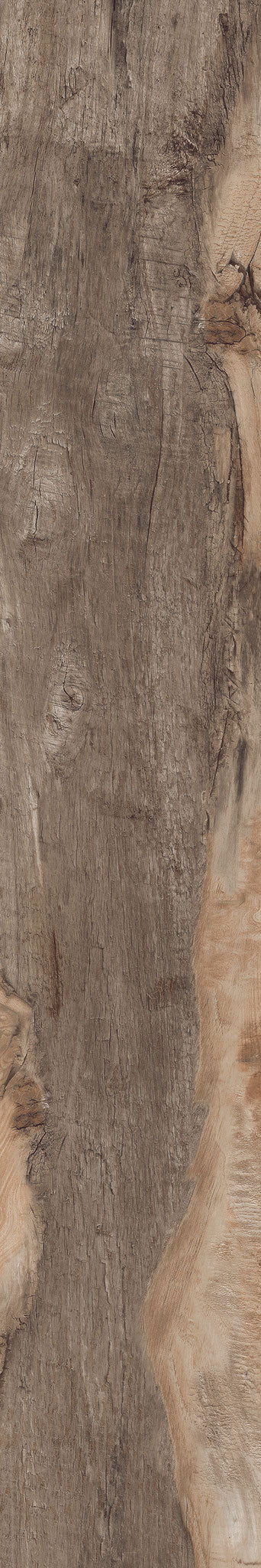 Backwoods-Porcelain-Paramount Flooring-KNB Mills