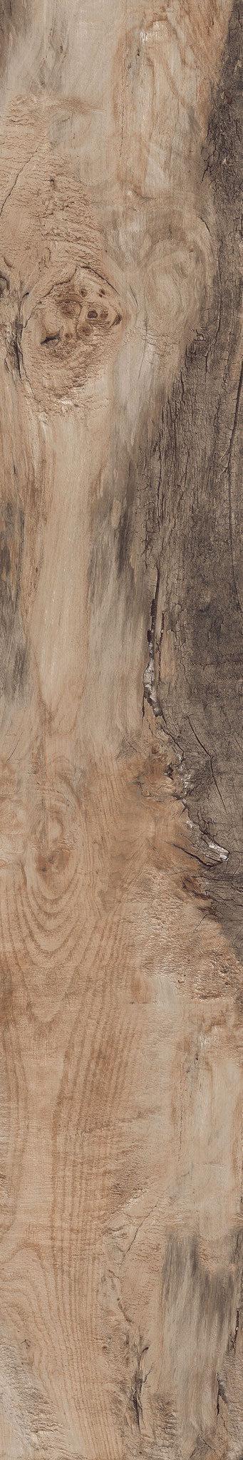Backwoods-Porcelain-Paramount Flooring-KNB Mills