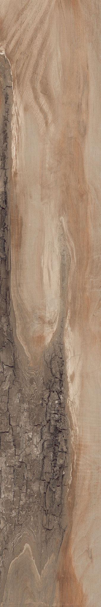 Backwoods-Porcelain-Paramount Flooring-KNB Mills