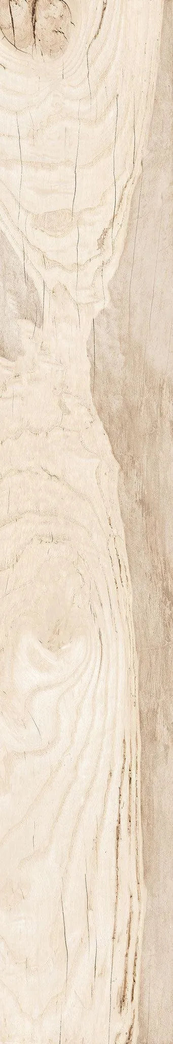 Backwoods-Porcelain-Paramount Flooring-KNB Mills
