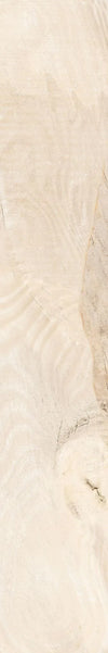 Backwoods-Porcelain-Paramount Flooring-KNB Mills