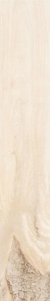 Backwoods-Porcelain-Paramount Flooring-KNB Mills